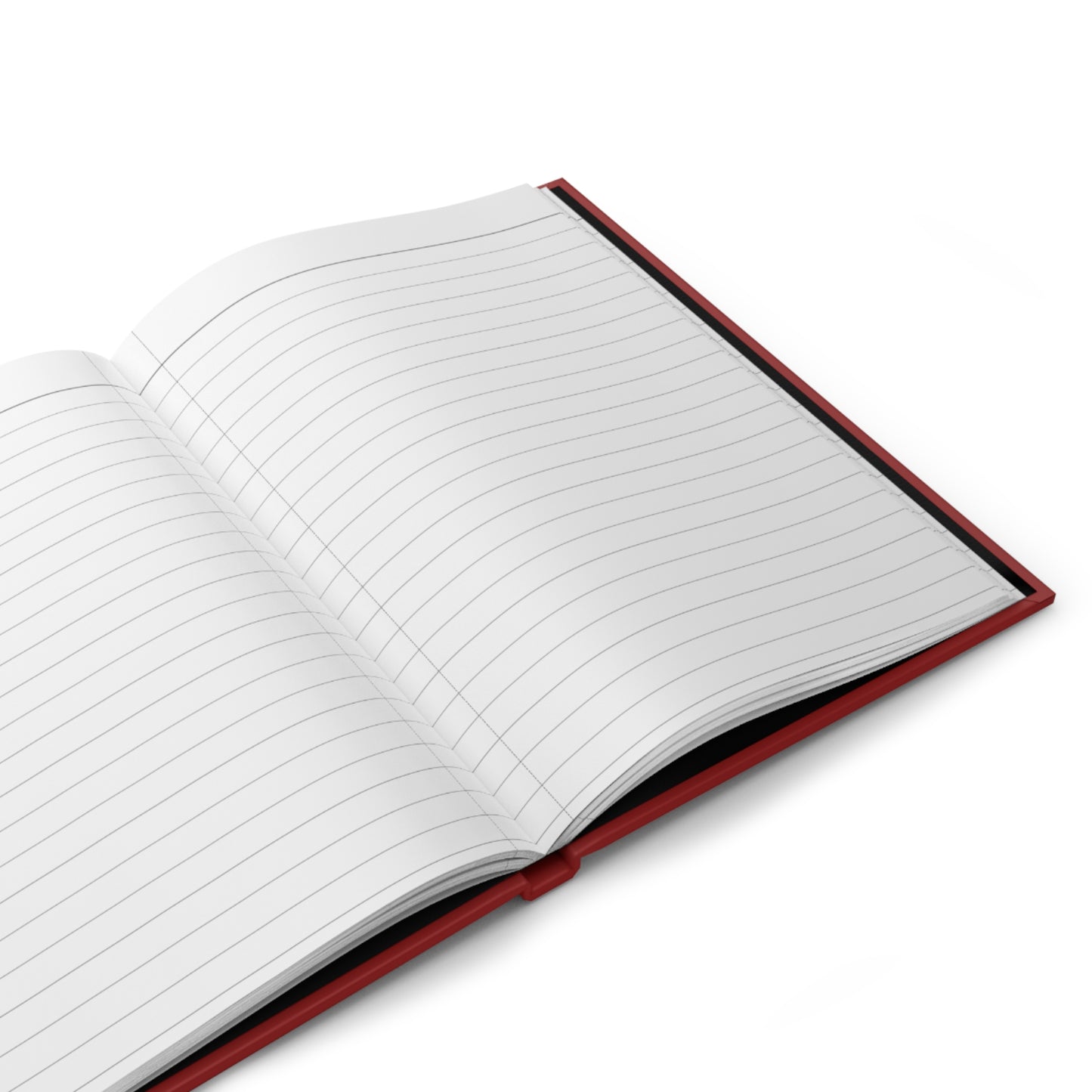 Sister Script Hardcover